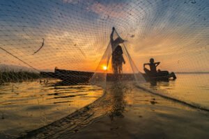What are the Effects of Commercial Fishing